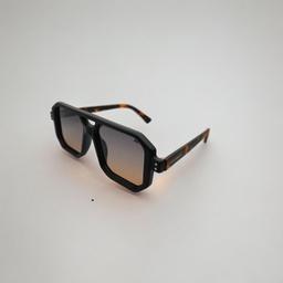 FARENHEIT (FARENHEIT) SUNGLASSES SUNGLASS FARENHEIT AEROSMITH P SHEET 4692(SUNGLASS COLOR CODE: C1 BLACK DA,SUNGLASS BOX SIZE (MM): 54.0)