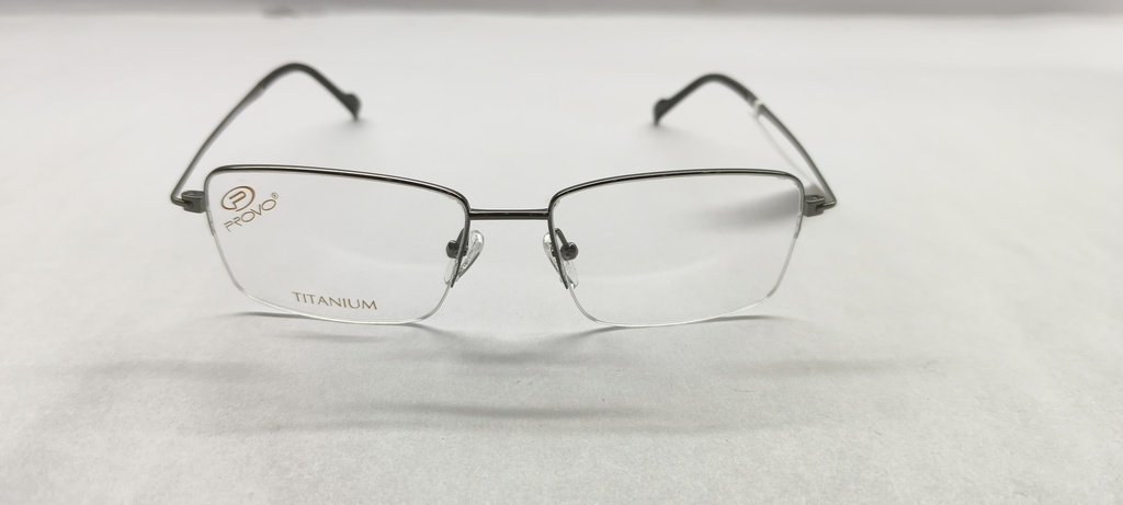PROVO (PROVO) FRAME PT5817 TITANIUM