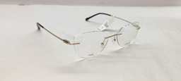 PROVO (PROVO) FRAME PR5802 (FRAME COLOR CODE: GOLD/BLACK,FRAME BOX SIZE (MM): 54.0)